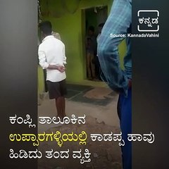 Man comes to hospital with snake after bite