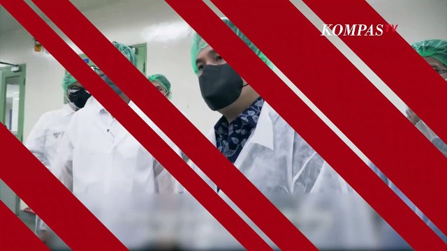 Erick Thohir Ingatkan Ivermectin Obat Keras, Harus dengan Resep Dokter