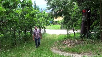 Film stüdyosu değil, asırları geride bırakan Bardızak Amerikan Koleji