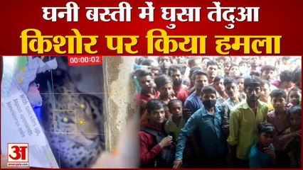 घनी बस्ती में घुसा तेंदुआ, किशोर को पंजा मारकर किया घायल