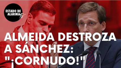 Brutal afirmación de José Luis Martínez-Almeida que destroza a Sánchez: “¡Cornudo!”