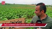 Kendisinden habersiz tarlasına ayçiçeği ekilen çiftçi bakın ne yaptı