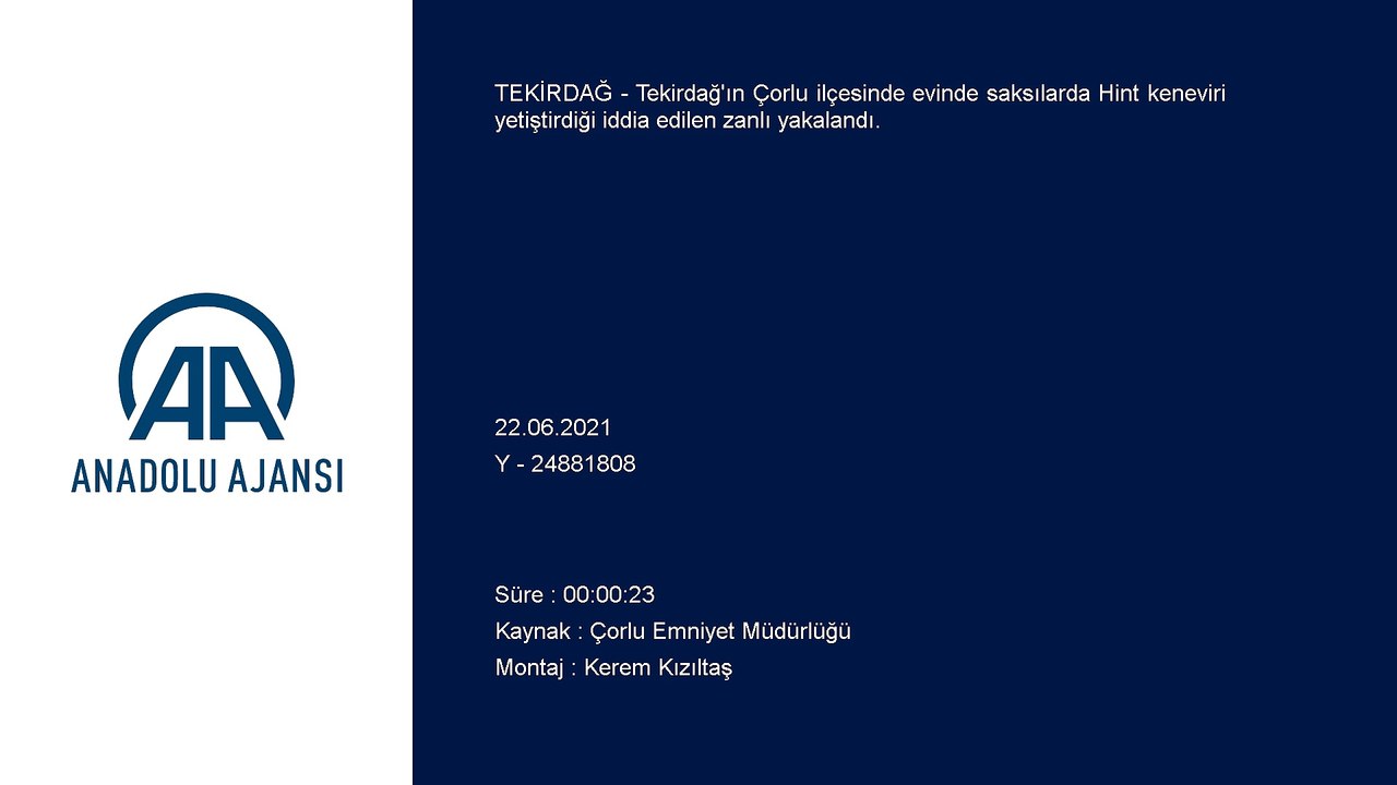TEKİRDAĞ - Evinde Hint keneviri yetiştirdiği iddiasıyla 1 şüpheli gözaltına alındı