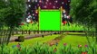 Wedding green screen Effects HD Video 30/Dil photo frame Very Beautiful New green photo frame hd