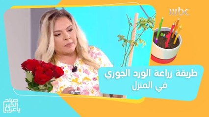بالعسل والقرفة.. ازرع الورد الجوري في منزلك والنتيجة بعد  3 أسابيع!