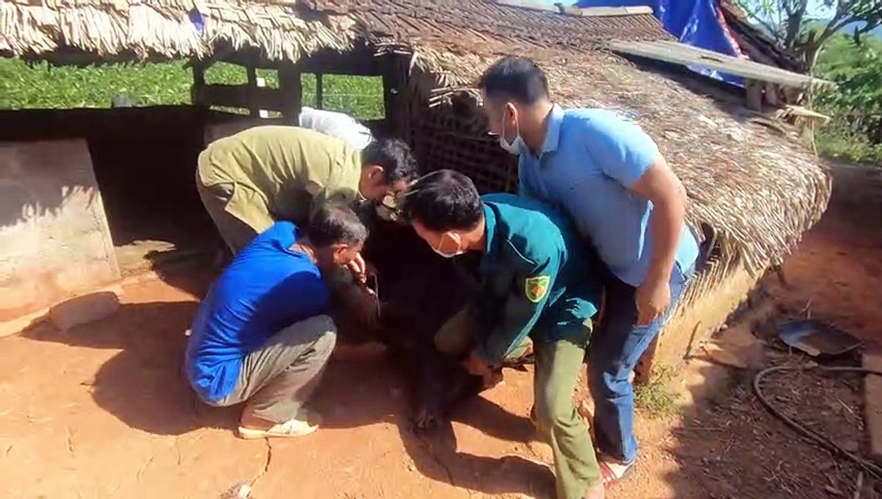 Bắt Con Lợn Đen Về Làm Thịt