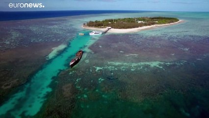 La Grande Barriera Corallina è davvero in pericolo? Sfida Unesco-Australia