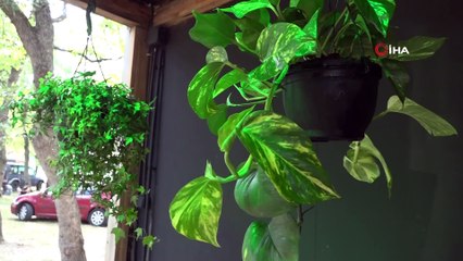 Nilüfer’de caz dolu günler başladı