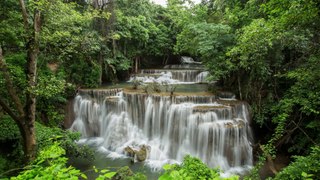 Beautiful & Relaxing Piano Pieces with Nature