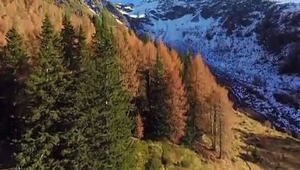 İki kartalın saldırısına uğrayan Drone'un düşüş anı