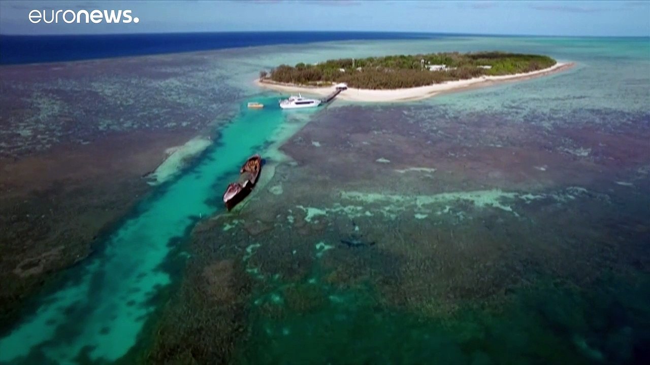 La Gran Barrera de Coral, en la lista de patrimonio de la humanidad "en peligro" según la UNESCO
