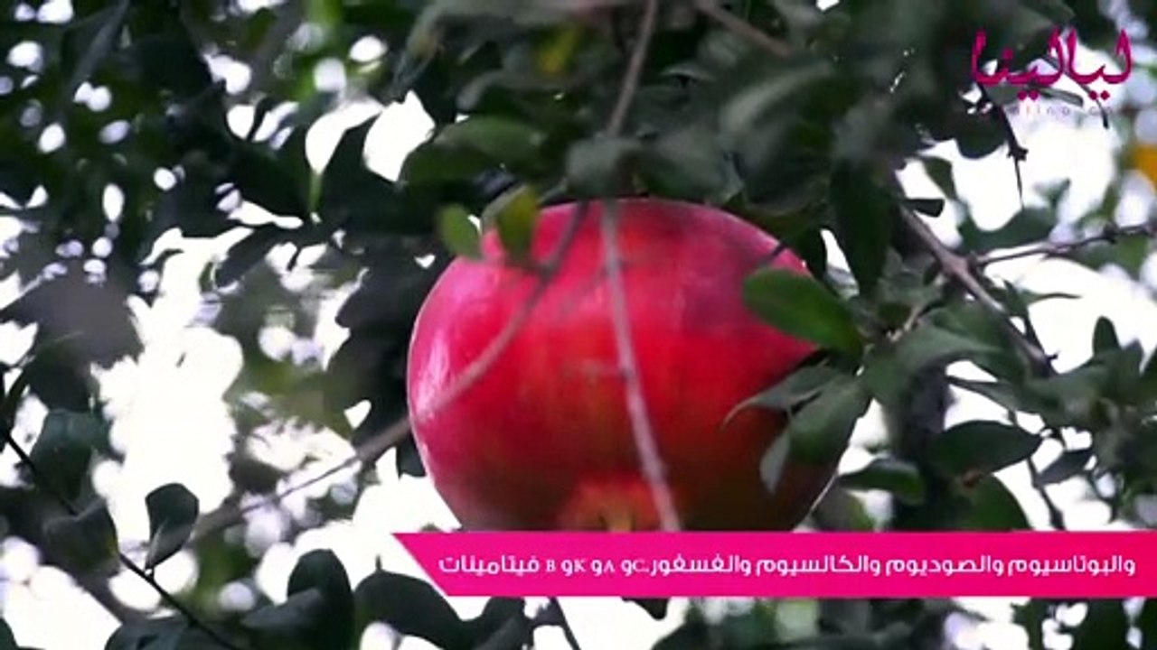 ٥ فوائد للرمان
