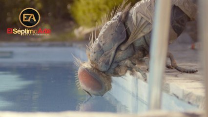 Mandíbulas - Tráiler español (HD)