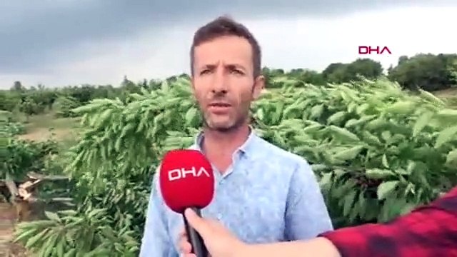 ''Bahçede 2 lira olan kiraz tezgahta 15 lira'' diyerek ağaçlarını...