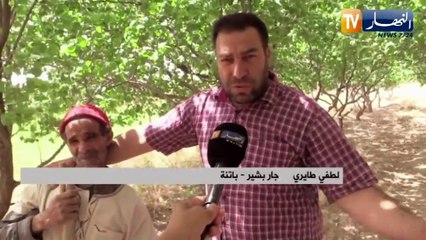 النشرة الأمازيغية لأمسية الثلاثاء 22 جوان 2021