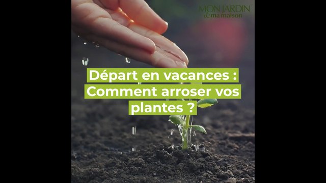 DIY - Comment arroser vos plantes pendant vos vacances ?