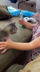 Baby Gives Kitten Some Kisses