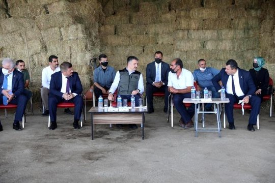 Tarım ve Orman Bakanı Pakdemirli'den yem fiyatlarına ilişkin açıklama