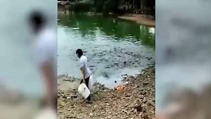 Balıkların yem savaşı