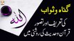 Gunah o Sawab Ki Tareef Aur Tasawur, Quran Aur Hadees Ki Roshni Mein - ARY Qtv