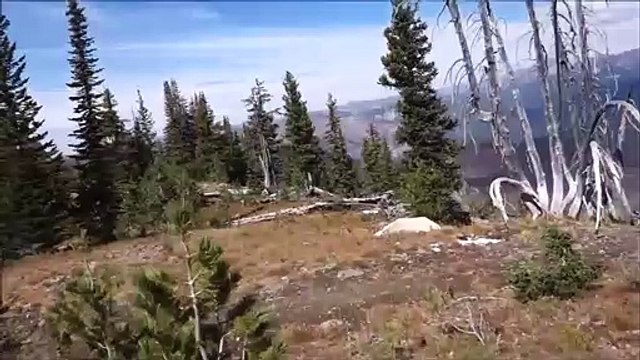 Un touriste découvre une chèvre sauvage en pleine sieste au sommet d'une montagne
