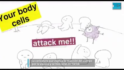 La caricatura que explica la reacción del cuerpo por la vacuna y se hizo viral en TikTok