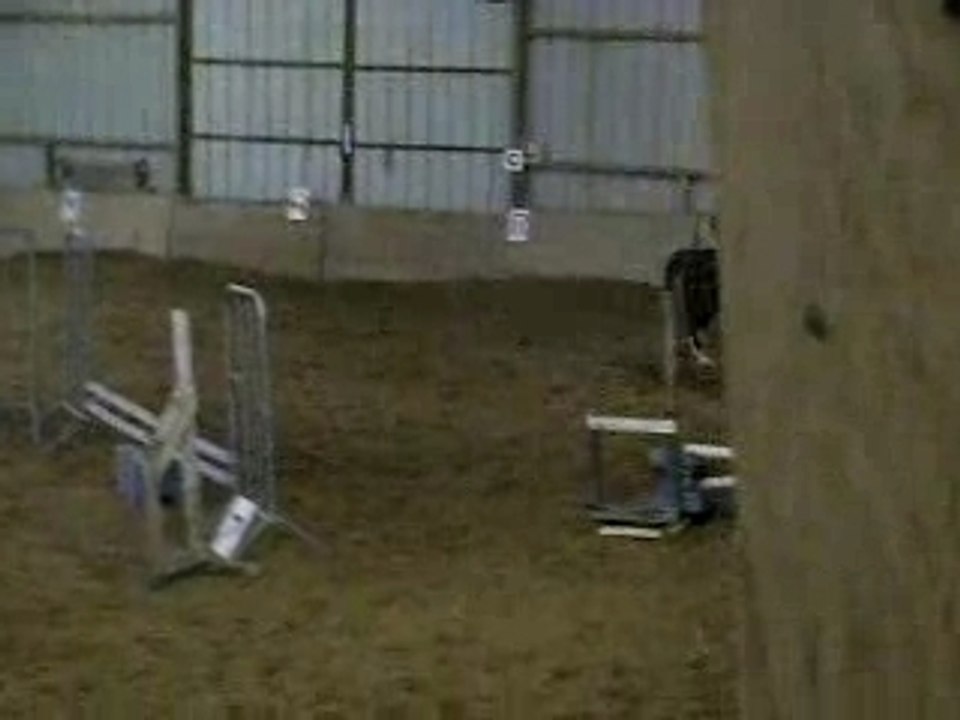 Poline et laser