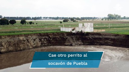 Ubican a otro perro en el fondo del socavón de Puebla