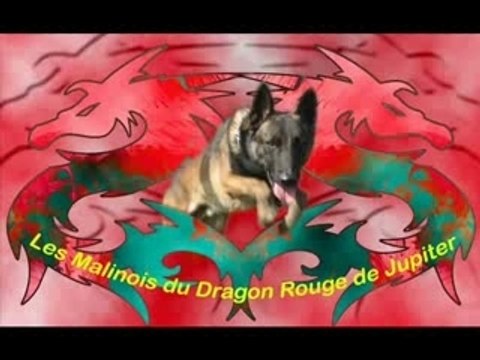 Ray-Ban des Plaines de Thiérache