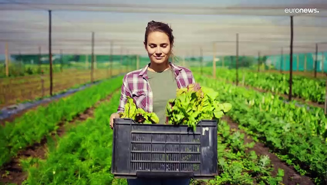 Qual a diferença entre "Consumir até" e "Consumir antes de"? Os europeus têm muitas dúvidas