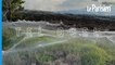 Une mer de toiles d’araignée en Australie après des inondations