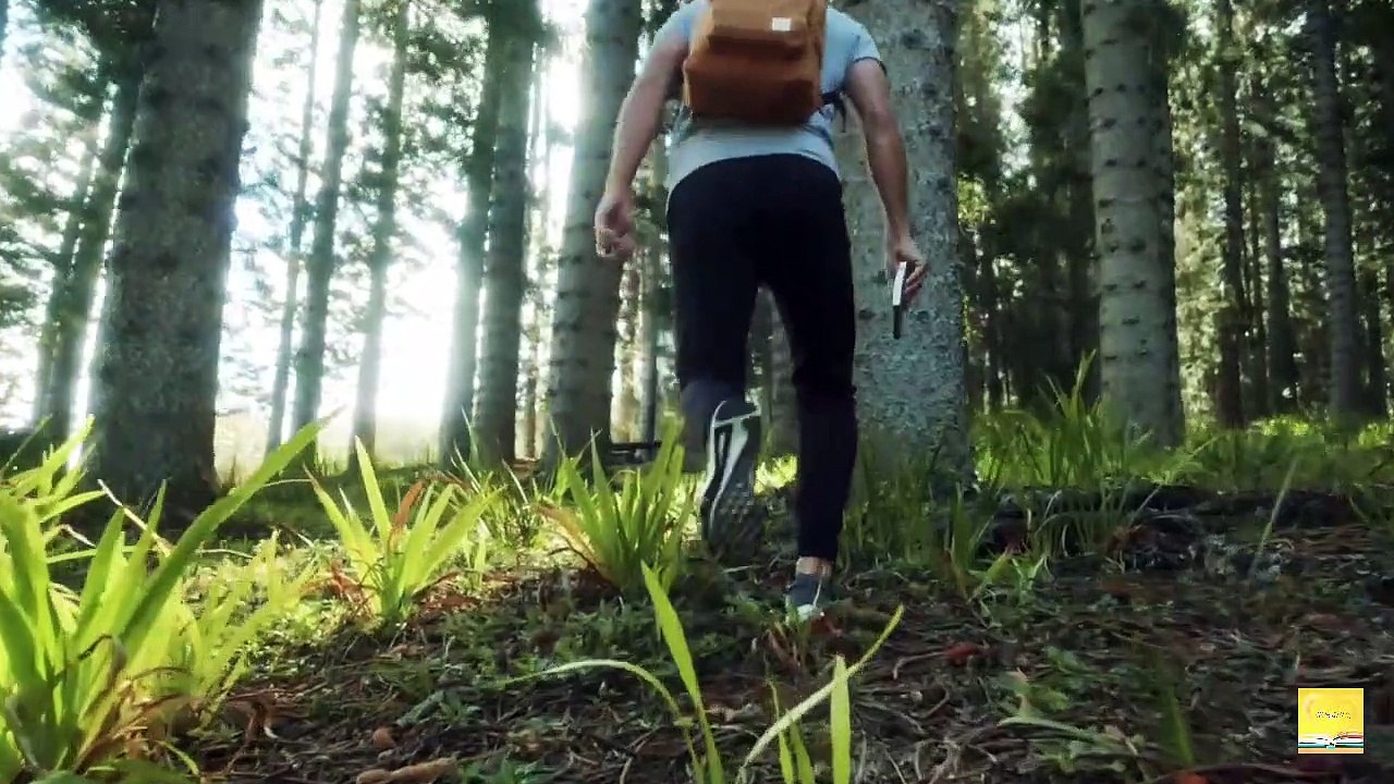 आप एक highly potential और efficient इंसान कैसे बन सकते हैं_ 6 traits of a highly potential person