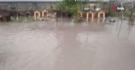 Ankara'da hayvan barınağı sular altında kaldı
