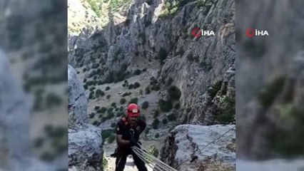 Kayalıklarda mahsur kalan oğlak kurtarıldı