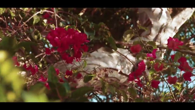 Bruno ft Flori Mumajesi Klajdi Haruni NINA