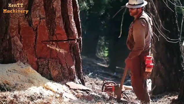 INCREDIBLE Timber Felling Bigest Tree Chainsaw Machine - Extreme Fast Processing Cutting Wood