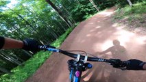 Bear Cub Runs Up on Mountain Biker