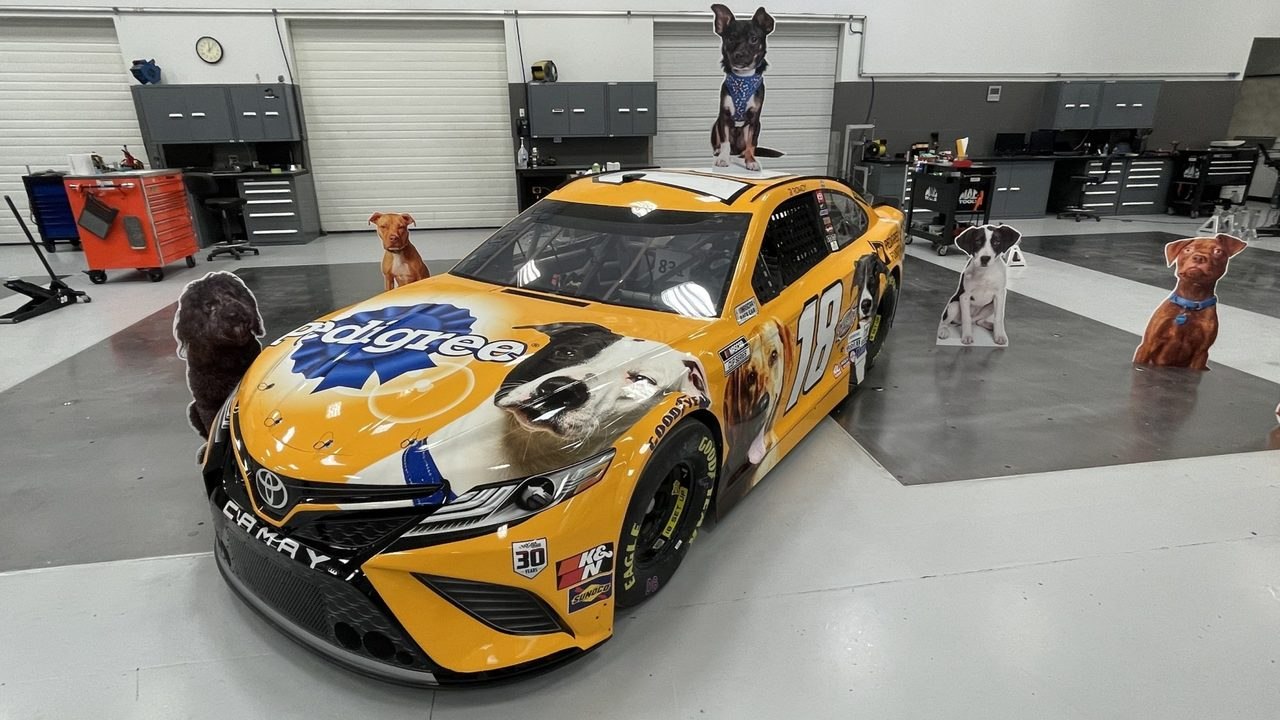 NASCAR Driver Kyle Busch Hits the Track With New Paint Scheme Featuring 7 Adoptable Dogs