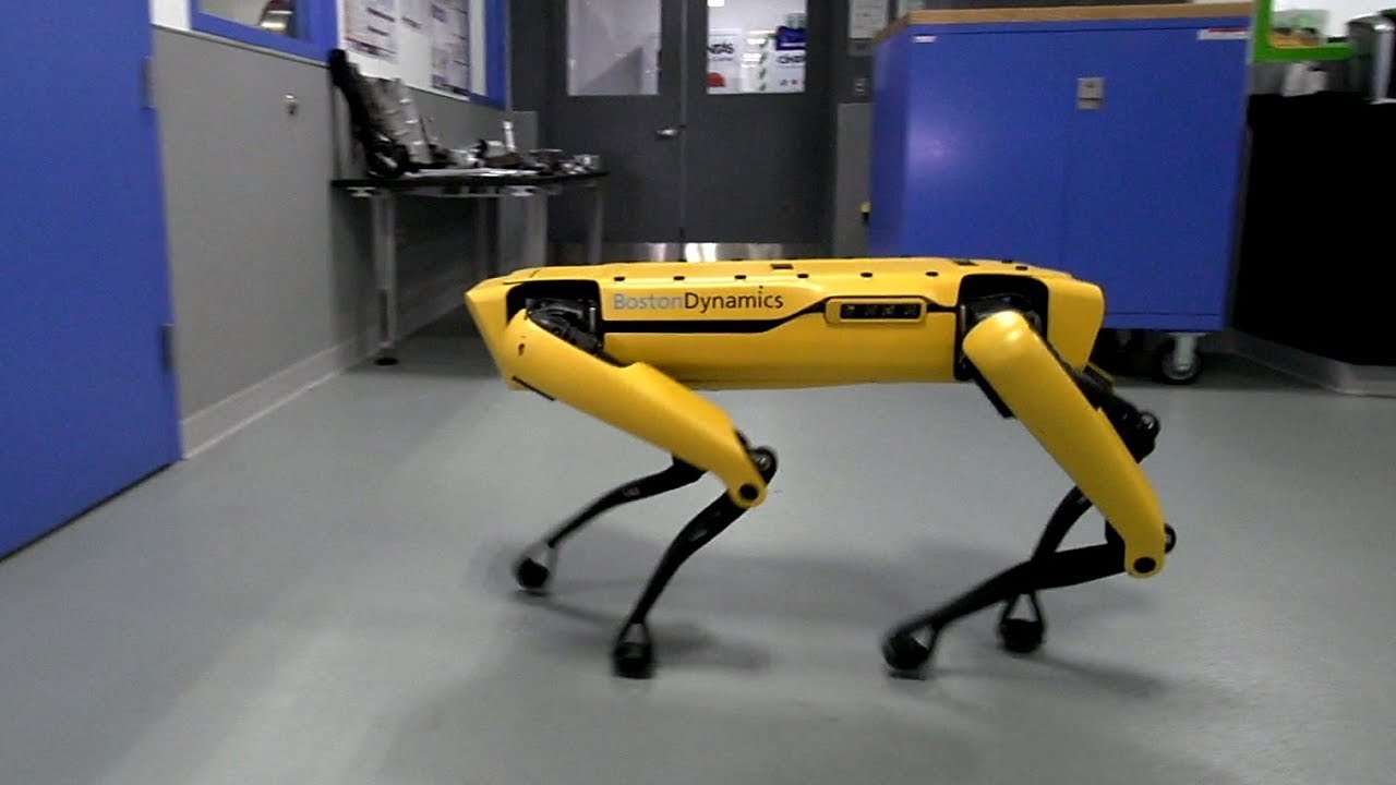 Hey Buddy, Can You Give Me a Hand