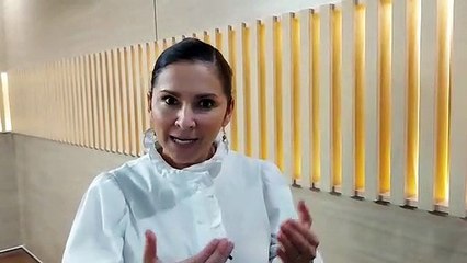 ext-declaraciones-diputada-220621