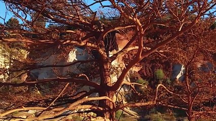 06.Surah Al Hadid _ Surah Al Hadeed _ सूरह अल हदीद _ 057