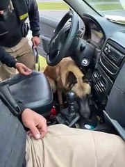 Polícia apreende cocaína em Pouso Alegre