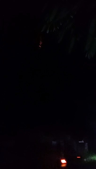 Brown out