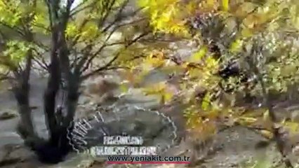 Uzman çavuş Aparangil güle oynaya şehit olmuş!