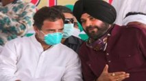 Punjab Congress tussle: Why is Rahul Gandhi upset with Sidhu