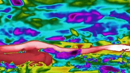 America's Mississippi The Bayou + 密西西比河口