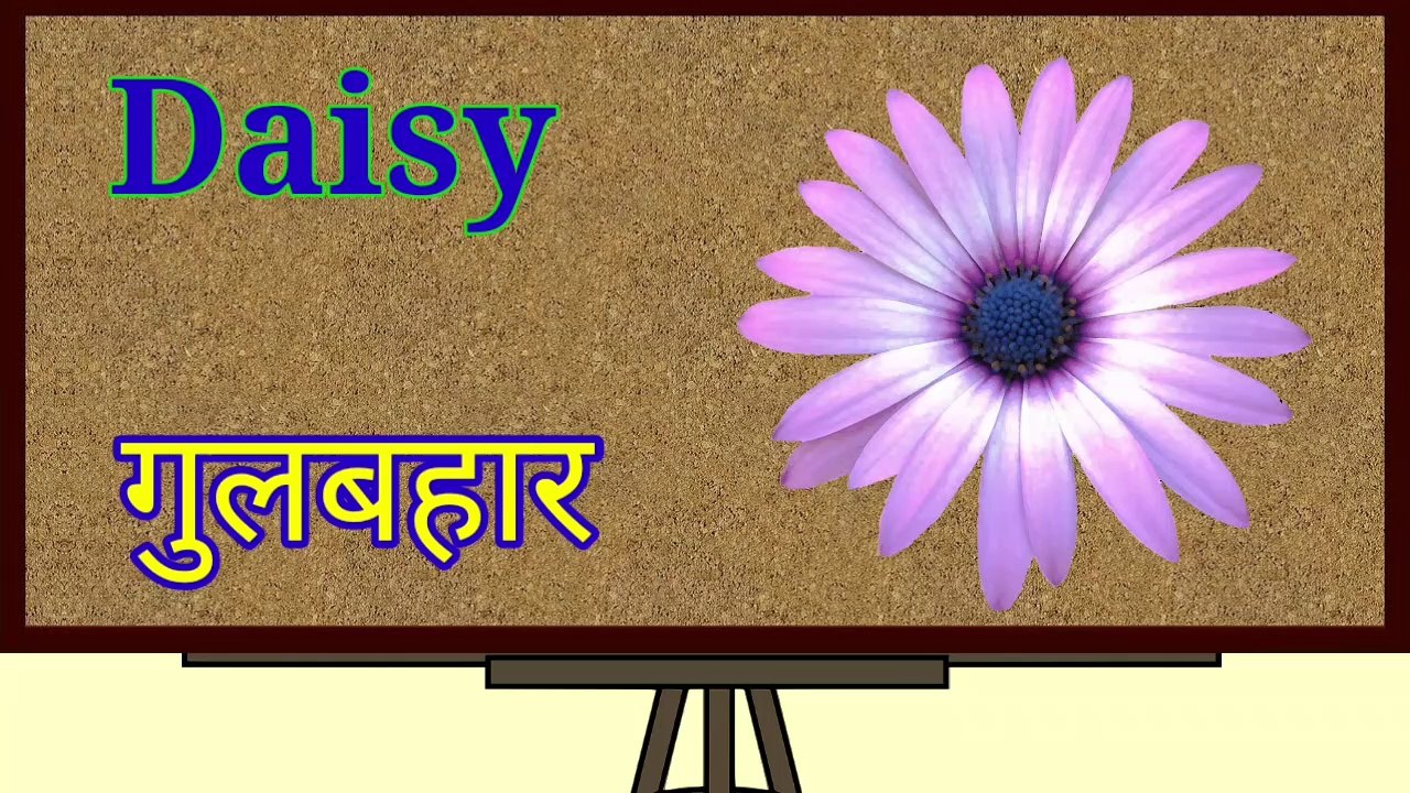 Flowers Name List In Hindi And English | फूलों के नाम On VidzooTv #nerseryrhymes