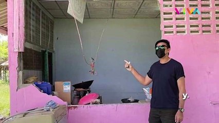 Cari Makan, Gajah Jebol Tembok Rumah Warga