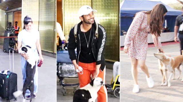 Shraddha Kapoor, Shweta Tiwari, Rahul Vaidya's CUTE Moments With Street Dogs