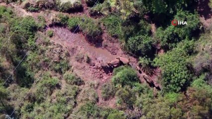 - Çin'de fil yavrusunun 'çamur banyosu' keyfi gülümsetti